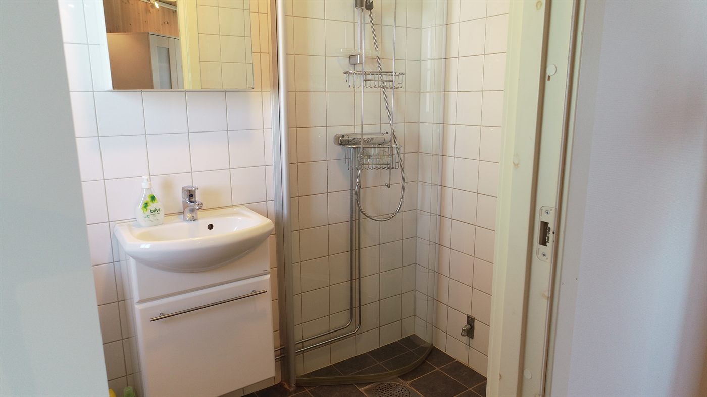 Nyrenoverat badrum med dusch och toalett